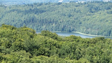 Einer der vielen Seen von Ferne (Foto: Salome Leinarkunion)