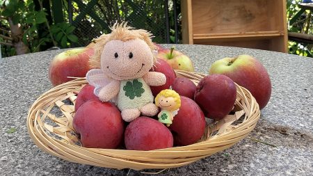 Die Apfelernte 2016 reichte immerhin für ein kleines Obstkörbchen (Foto: Martin Dühning)