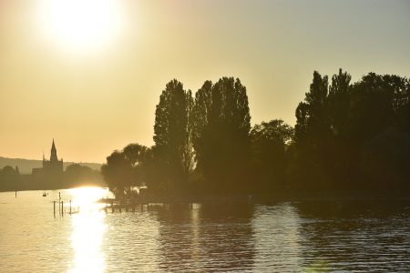 Goldener Bodensee am Abend (Foto: Martin Dühning)