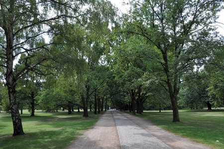 Berliner Tiergarten (Foto: Martin Dühning)