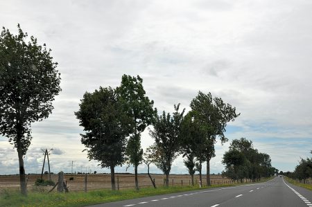 Endlose Straßen durch die polnische Provinz bei grauem Himmel (Foto: Martin Dühning)