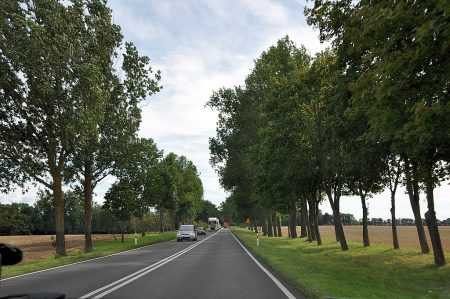 Pastorale Landschaft in der Provinz von Stettin (Foto: Martin Dühning)