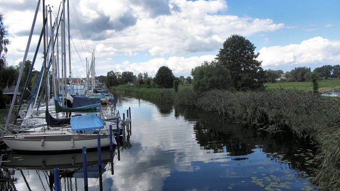 Landschaft bei Ueckermünde (Foto: Salome Leinarkunion)