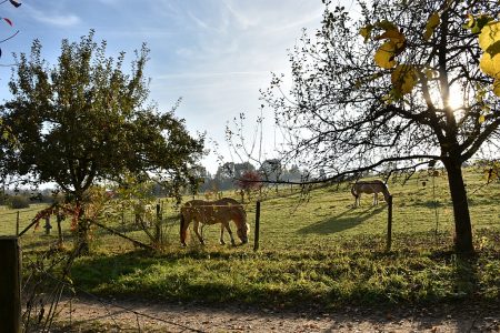 Die umgebende Landschaft bietet sehr pastoral anmutende Ausblicke - sogar im November (Foto: Martin Dühning)