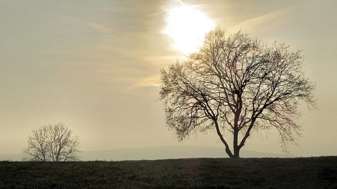 Novemberstimmung im Klettgau - dazu passt das Album "Luys I Luso" (Foto: Martin Dühning)