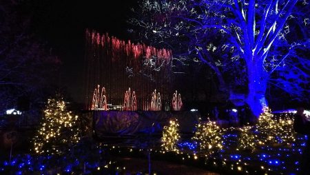 Teil der Illumination sind auch Wasserspiele (Foto: Martin Dühning)