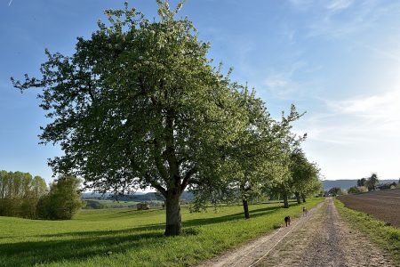 Friedevoller Gründdonnerstag 2017 (Foto: Martin Dühning)