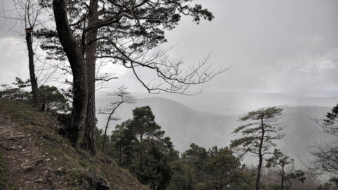 Schroffe Natur in einer kalten Zeit (Foto: Martin Dühning)