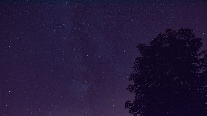 Eine Sternennacht im August (Foto: Martin Dühning)