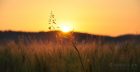 Mittsommerlicher Sonnenuntergang (Foto: Martin Dühning)