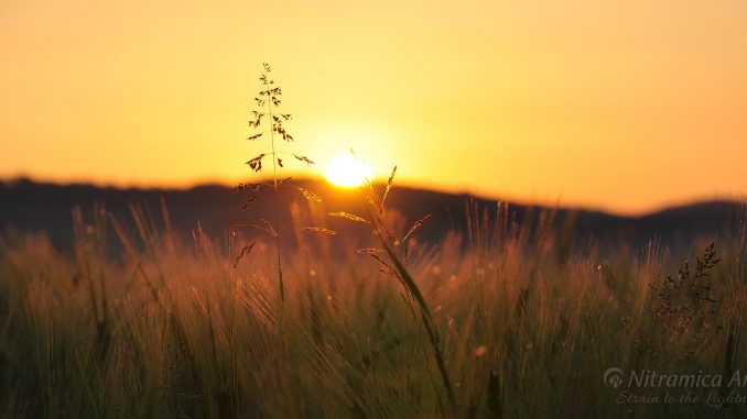 Mittsommerlicher Sonnenuntergang (Foto: Martin Dühning)