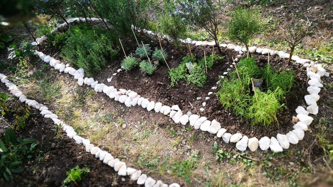 Der heimische Kräutergarten kurz vor dem Muttertag 2018 (Foto: Martin Dühning)