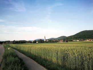 Klettgau-Grießen Ende Mai 2018 (Foto: Martin Dühning)