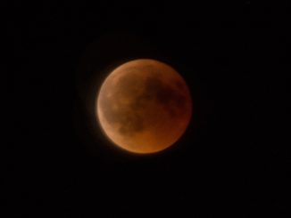 Der Blutmond am 27. Juli 2018 (Foto: Martin Dühning)