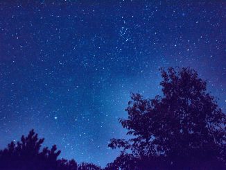 Sternenhimmel im heimischen Garten am 12./13. August 2018 (Foto: Martin Dühning)