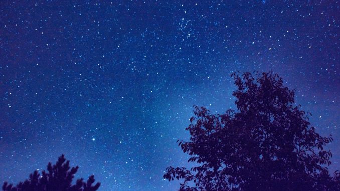 Sternenhimmel im heimischen Garten am 12./13. August 2018 (Foto: Martin Dühning)