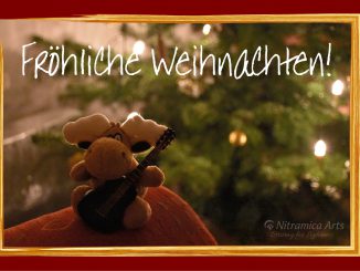 Fröhliche Weihnachten 2018! (Foto: Martin Dühning)