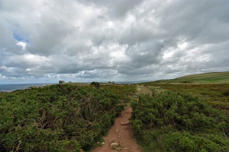 Pfad durch Heidekraut und Steine Richtung Süden auf dem Great Orme (Foto: Martin Dühning)