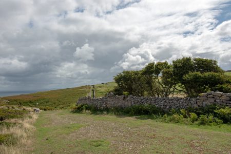 Es klart auf und die Landschaft ergrünt wieder (Foto: Martin Dühning).