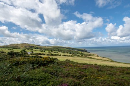 Blick zurück auf die Weidelandschaft des Great Orme (Foto: Martin Dühning)