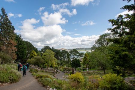 Durch den botanischen Garten, weiter Richtung "Happy Valley" (Foto: Martin Dühning)