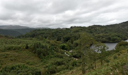 Wilde Wälder und der kleine See von Tan-y-Bwlch (Foto: Martin Dühning)