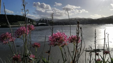 Blick von den Uferpromenaden Richtung Conwy (Foto: Martin Dühning)