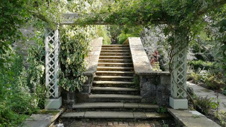 Umrankte Treppe (Foto: Martin Dühning)