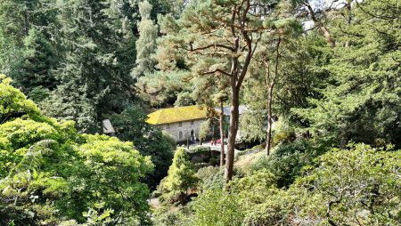 Der Weg hinab ins Tal (Foto: Martin Dühning)