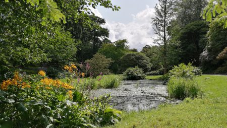 Blumenumsäumter Bachlauf (Foto: Martin Dühning)