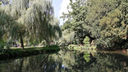 Noch ein Weiher an einem Sommernachmittag (Foto: Martin Dühning)