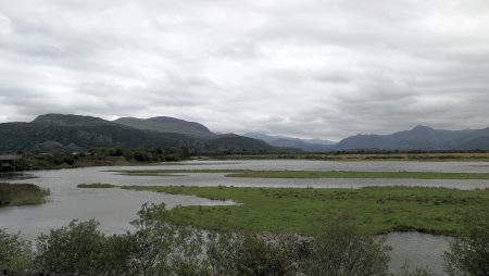 Marschen von Porthmadog (Foto: Martin Dühning)