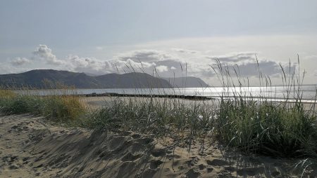 Abschiedsblick zum Strand (Foto: Martin Dühning)