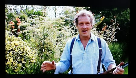 "The Joy of Gardening" im Fernsehen (Foto: Martin Dühning)