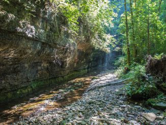 Schwarzwaldschlucht am 31. August 2019 (Foto: Martin Dühning)