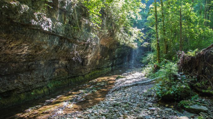 Schwarzwaldschlucht am 31. August 2019 (Foto: Martin Dühning)