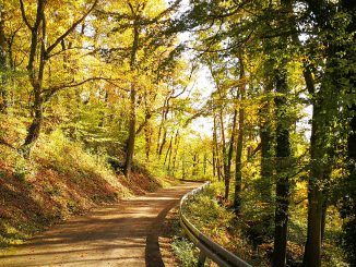 Der Aarberg in Waldshut im Oktobergold 2019 (Foto: Martin Dühning)