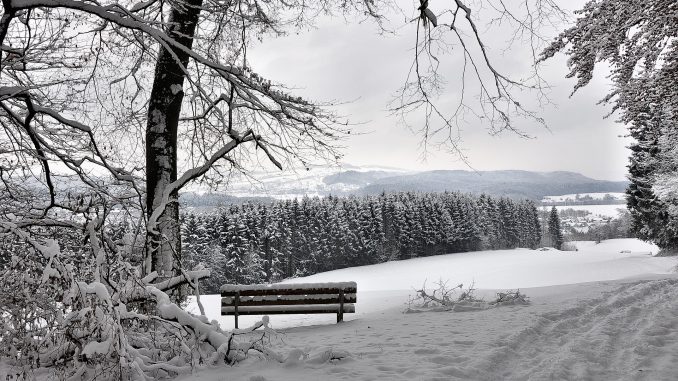 Winterliche Bank im alten Lauchringer Wald, vor langer Zeit (Foto: Martin Dühning)