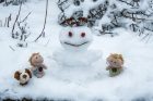 Ziemlich kleine Winterfreuden