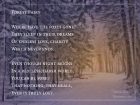 Forest Fairy Poem - Text und Grafik: Martin Dühning