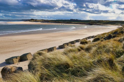 Nordseestrand in Northumberland (Foto: Nick Collins via Pexels)