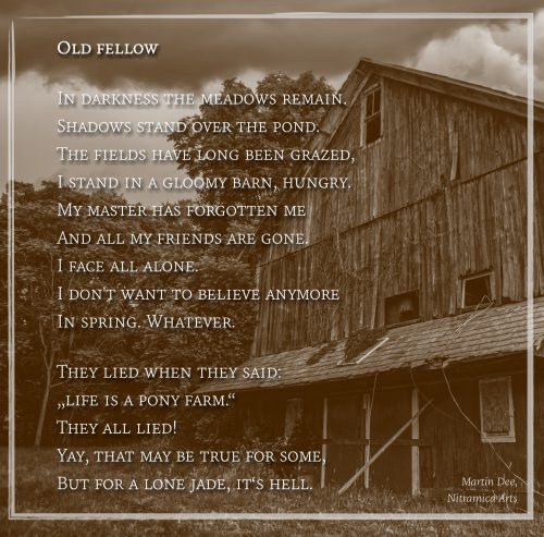 Old Fellow - Visual Poem