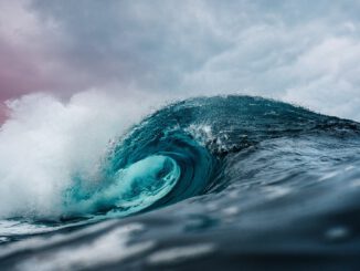 Welle des Ozeans (Foto: Emiliano Arano via Pexels)