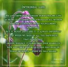Intrinsic Life - Visual Poem (Grafik und Text: Martin Dühning)