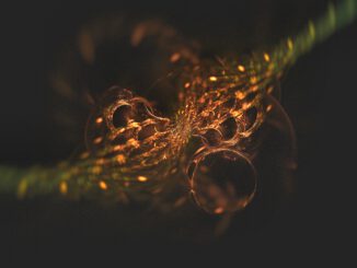 Fraktales Bokeh - manchmal gelingen auch in Chaotica Grafiken mit 3D-Look (Grafik: Martin Dühning)