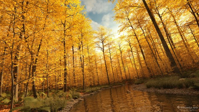 Goldener Herbstwald (Grafik: Martin Dühning)