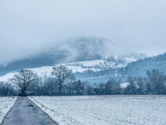 Der Neujahrstag in Lauchringen, 2021 (Foto: Martin Dühning)