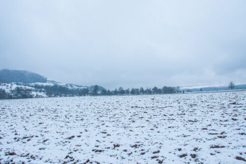 Blick auf den Friedhof Lauchringen im Schnee (Foto: Martin Dühning)