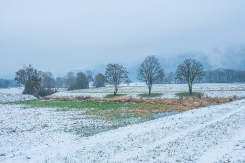 Winterliche Bäume am Klingengraben (Foto: Martin Dühning)