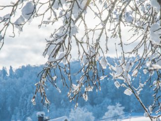 Schneeglitzertraum 2021 (Foto: Martin Dühning)